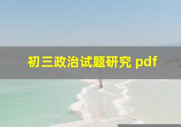 初三政治试题研究 pdf